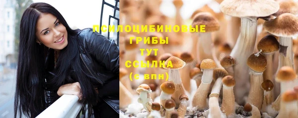 хмурый Верхний Тагил